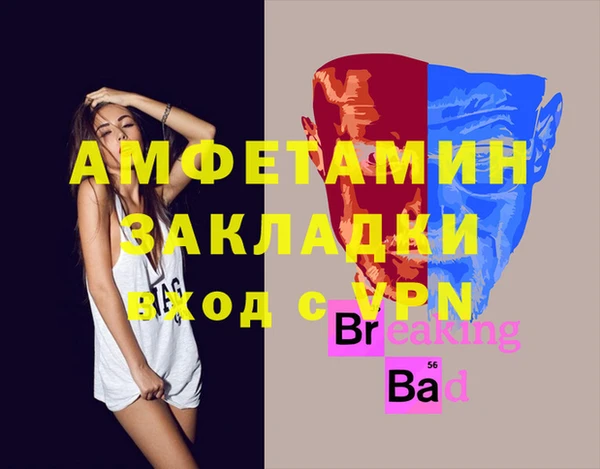 индика Алзамай